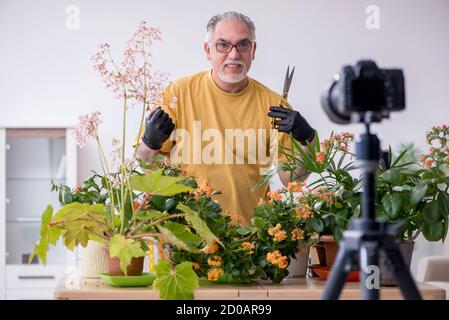 Alter männlicher Gärtner mit Pflanzen zu Hause Stockfoto