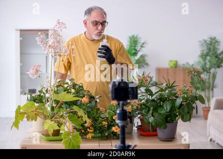 Alter männlicher Gärtner mit Pflanzen zu Hause Stockfoto