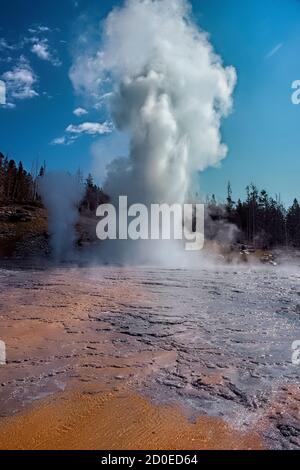 Grand Geyser Erupting, Upper Geyser Basin, Yellowstone National Park, Wyoming, USA Stockfoto