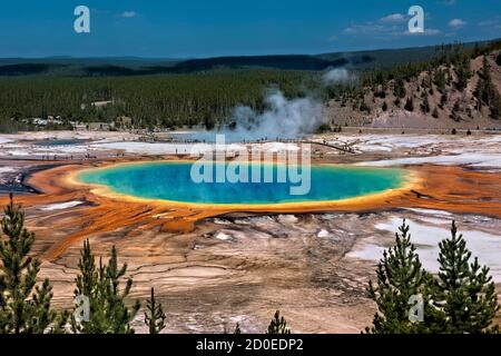 Grand Prismatic Hot Spring, Midway Geyser Basin, Yellowstone National Park, Wyoming, USA Stockfoto