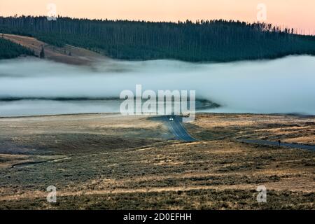 Nebel im Hayden Valley bei Sonnenaufgang, Yellowstone National Park, Wyoming, USA Stockfoto