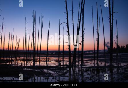 Sonnenuntergang im Fountain Paint Pots, Lower Geyser Basin, Yellowstone National Park, Wyoming, USA Stockfoto