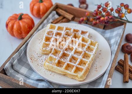 Süße hausgemachte Kürbis Gewürzwaffeln auf einem Tisch Stockfoto