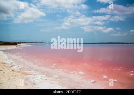 Rosa salzigen See und blauen Himmel. Alicante, Torrevieja, Spanien Stockfoto