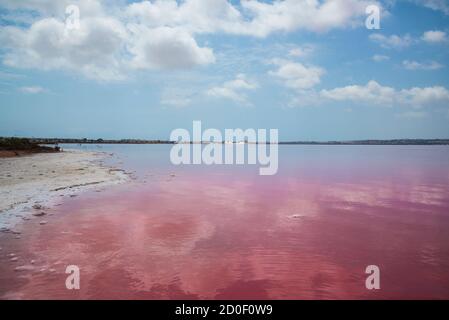 Rosa salzigen See und blauen Himmel. Alicante, Torrevieja, Spanien Stockfoto