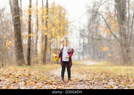 Ein kleines Mädchen sammelt herbstliche Blätter in einem Blumenstrauß im Park. Frohe Kindheit Stockfoto