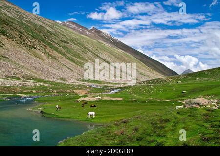 Der Dudipatsar-See, auch als Dudipat-See bekannt, ist ein See, der von schneebedeckten Gipfeln im Lulusar-Dudipatsar-Nationalpark umgeben ist. Der See liegt im Norden Stockfoto