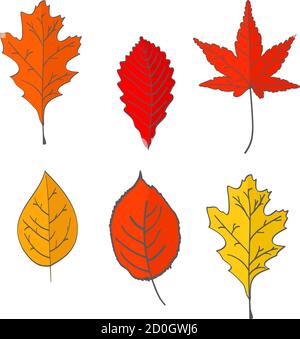 Set von Herbst gefallenen Blättern von gelber, roter Farbe. Im flachen Stil ein Vektor.Eiche, Ahornblätter. Stock Vektor