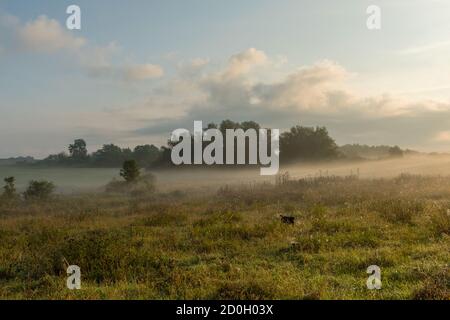 Morgenstimmung an einem frühen Herbsttag in der Uckermark Stockfoto