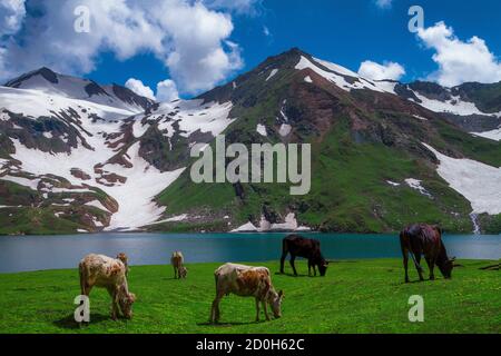 Der Dudipatsar-See, auch als Dudipat-See bekannt, ist ein See, der von schneebedeckten Gipfeln im Lulusar-Dudipatsar-Nationalpark umgeben ist. Der See liegt im Norden Stockfoto