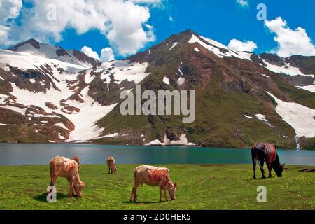 Der Dudipatsar-See, auch als Dudipat-See bekannt, ist ein See, der von schneebedeckten Gipfeln im Lulusar-Dudipatsar-Nationalpark umgeben ist. Der See liegt im Norden Stockfoto
