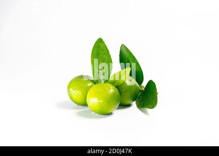 Frische Zitronen und grüne Blätter zum Kochen isoliert auf weißem Hintergrund. Stockfoto