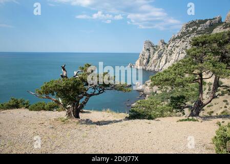 Das Schwarze Meer neben dem Dorf Nowy Svet, Krim Stockfoto