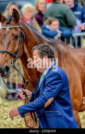 Michael Ryan Badmintonpferdeprüfungen Gloucester England Mai 2019. Michael Ryan Reitsport-VielseitigkeitVertretung Irland Reiten Dunlough Striker in t Stockfoto