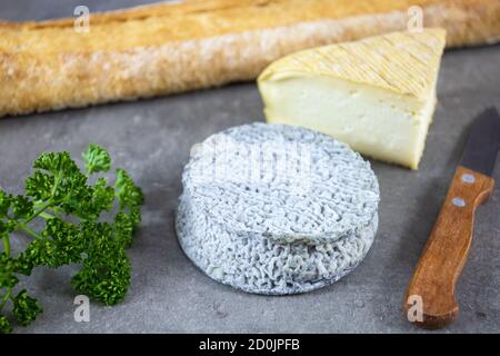 Selles-sur-Cher Ziegenkäse und Maroilles auf einem Tisch Stockfoto