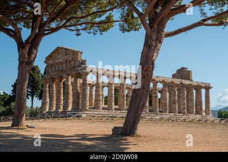 Tempel der Athena in Paestum, Italien früher bekannt als Tempel von Ceres mit dorischen Säulen und Olivenbäumen Stockfoto