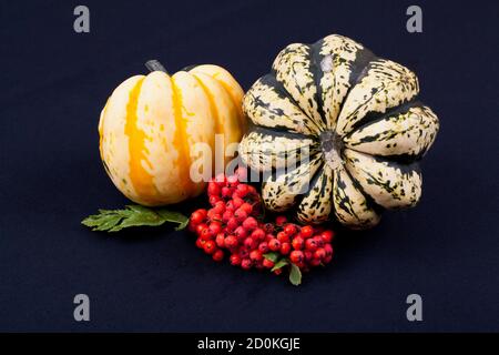 Stillleben mit Deko-Kürbissen und Früchten Stockfoto