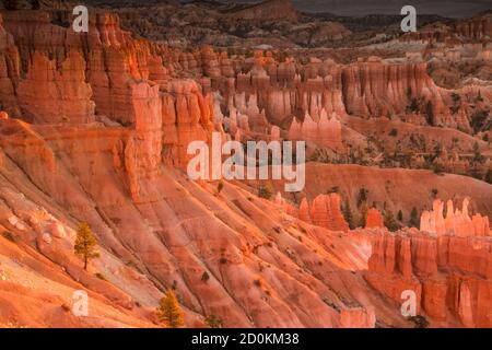 Wunderschöne und inspirierende Reisen und Landschaften des Bryce Canyon National Park in Utah, USA Stockfoto