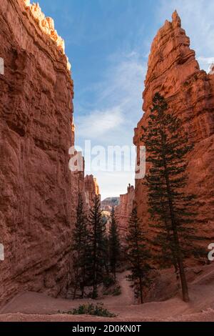 Wunderschöne und inspirierende Reisen und Landschaften des Bryce Canyon National Park in Utah, USA Stockfoto