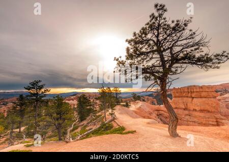 Wunderschöne und inspirierende Reisen und Landschaften des Bryce Canyon National Park in Utah, USA Stockfoto