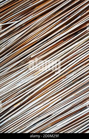 Bambushintergrund. Wand aus Bambus. Ländliche rustikale Zaun Textur Hintergrund. Stockfoto