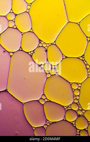 Abstrakte bunte Reflexionen auf Öl und Seifenblasen im Wasser Stockfoto