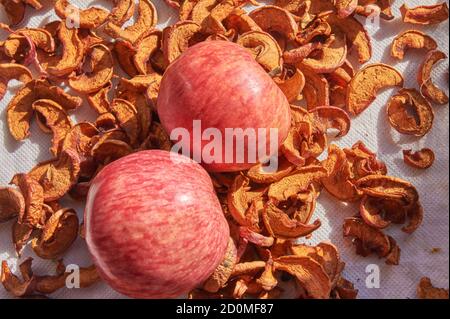 Äpfeln an der Sonne trocknen. Apple-Chips Stockfoto