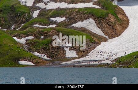 Der Dudipatsar-See, auch als Dudipat-See bekannt, ist ein See, der von schneebedeckten Gipfeln im Lulusar-Dudipatsar-Nationalpark umgeben ist. Der See liegt im Norden Stockfoto