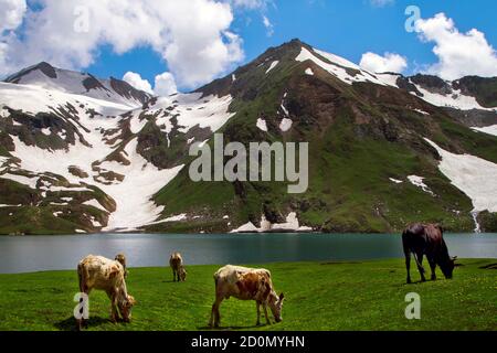 Der Dudipatsar-See, auch als Dudipat-See bekannt, ist ein See, der von schneebedeckten Gipfeln im Lulusar-Dudipatsar-Nationalpark umgeben ist. Der See liegt im Norden Stockfoto