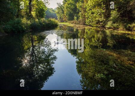 River Bradford, Bradford Dale, Youlgrave, Peak District National Park, Derbyshire, England Stockfoto