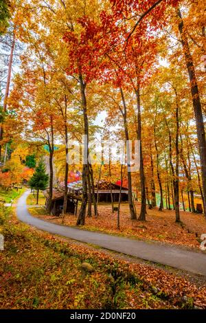 Hida Folk Village im Herbst Stockfoto