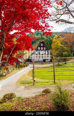 Hida Folk Village im Herbst Stockfoto