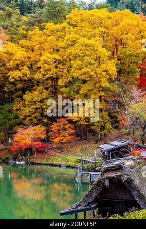 Hida Folk Village im Herbst Stockfoto