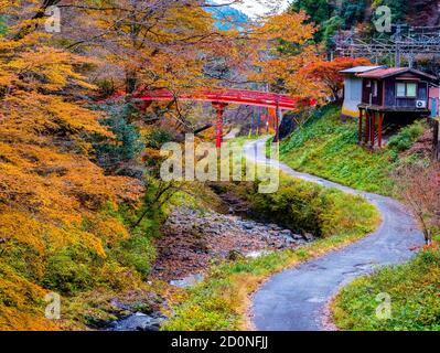 Pfad in der Natur in Koyasan Stockfoto