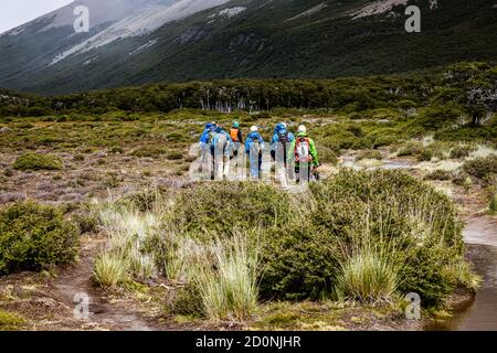 Wanderer im Tal von Fitz Roy, bevor sie den Aufstieg beginnen. Stockfoto