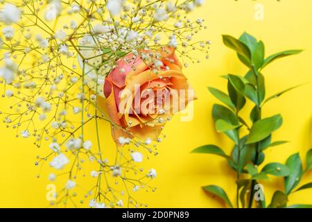 Blumenzusammensetzung. Rosa Rose, weiße Gipsophila und Zweige des Ruscus auf gelbem Hintergrund. Grußkarte zum Geburtstag oder Frauentag Stockfoto