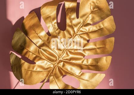 Stilvoller Hintergrund mit Blattgold von Monstera auf rosa Farbe Mit Lichtern und Schatten Stockfoto