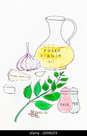 Stillleben mit Zutaten für italienische Pesto-Sauce von Hand gezeichnet Filzstift und Aquarelle auf weißem Papier Stockfoto