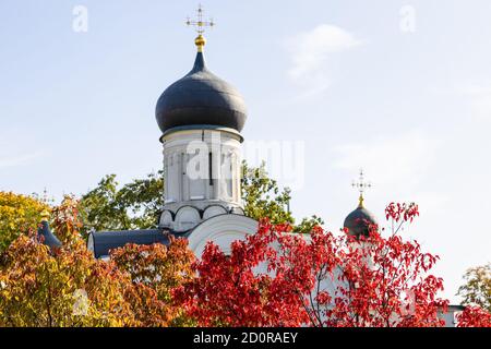 Bunte Herbstlaub und Kuppel der Kirche der Empfängnis Der Heiligen Anna auf dem Hintergrund in Kitay-Gorod Bezirk von Moskau Stadt am sonnigen September d Stockfoto