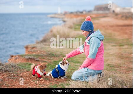 Glückliche junge Sportfrau in Track Anzug spielen mit zwei Gekleidete chihuahua Hunde bei kaltem Wetter Seeufer Outdoor-Aktivität Stockfoto