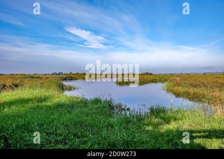 Ein Blick über den See, Reedbeds und Sümpfe aus dem Vogelschutzgebiet RSPB Strumpshaw Nature Reserve im ländlichen Norfolk Stockfoto