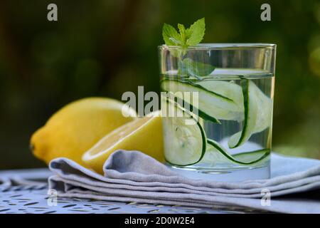 Gurkenwasser in Glas und Zitronen, Deutschland, Europa Stockfoto
