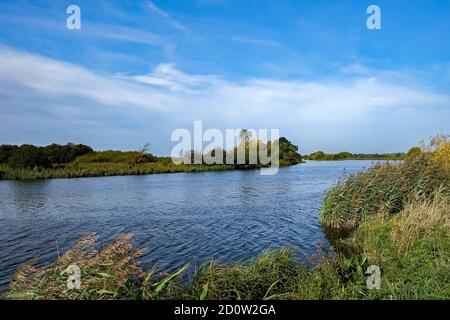 Ein windiger und sonniger Tag auf dem Fluss Yare in RSPB Strumshaw Fen Nature Reserve im Norfolk Broads National Parken Stockfoto