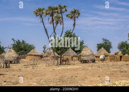 Strohhütten mit Strohhalmen auf Stelzen - afrikanische Dorfszene in Niger, Afrika Stockfoto