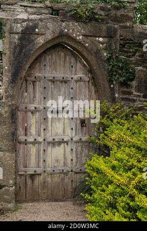 Alte Holztür in den Gärten des viktorianischen Herrenhauses Lanhydrock House, National Trust, Bodmin, Cornwall, Großbritannien, Europa Stockfoto