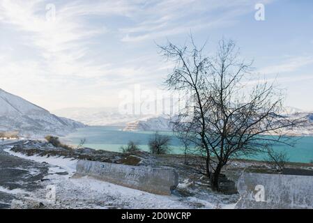 Schöner schneebedeckter Winter in den Bergen von Usbekistan. Charvak Stausee an einem kalten windigen Tag und ein eineinziger Baum Stockfoto