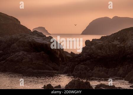 Ramsey Island bei Sonnenuntergang, Pembrokeshire Coast National Park, Wales, Großbritannien Stockfoto