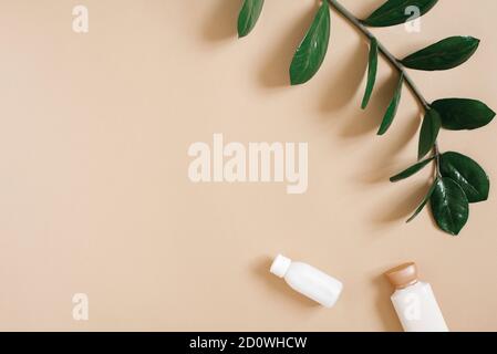 Healthcare Spa-Konzept. Eine Flasche Flüssigseife oder Duschgel auf einem beigen Hintergrund mit einem Zweig der grünen tropischen Pflanze zamiokulkas. Flach liegend, t Stockfoto