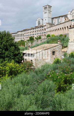 Berühmte Basilika des Heiligen Franziskus von Assisi (Basilica Papale di San Francesco) in Assisi, Umbrien, Italien Stockfoto