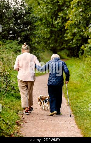 Herbstnachmittag Spaziergang von zwei Frauen, eine junge und eine ältere Frau, die Hunde auf einem grünen Weg gehen, ein Bild der Freundschaft und Pflege für ältere Menschen, Stockfoto